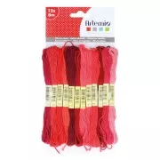 Assortiment 12 échevettes pour bracelet brésilien & broderie - Rouge x1