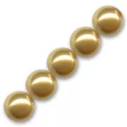Perles nacrées PureCrystal 5810 8 mm Bright Gold Pearl x5