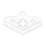 Embout tissage perles Miyuki 11/0 exclu Perles & co Etoile 18 mm Argenté