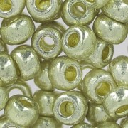 Rocaille Miyuki Duracoat 6/0 4201 - Galvanized Silver x8g|raw }}