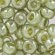 Rocaille Miyuki Duracoat 6/0 4201 - Galvanized Silver x8g