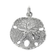 Pendentif Sand Dollar 22x19 mm avec anneau fermé en Argent 925 x1