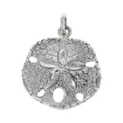 Pendentif Sand Dollar 22x19 mm avec anneau fermé en Argent 925 x1