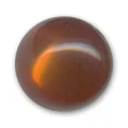 Perle ronde Polaris brillante 20 mm Marron x1