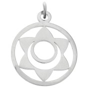 Pendentif rond - médaille 22x19 mm Chakra n°2 - Sacré - Acier inoxydable x1|raw }}