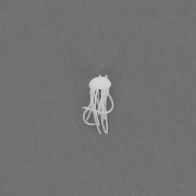 Méduse en plastique 11 mm pour accessoires et bijoux résine d'inclusion - Blanc x1