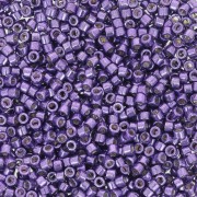 Miyuki Delica Duracoat 11/0 DB2509 - Galvanized Dark Lilac x8g