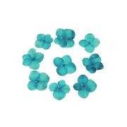 Fleurs séchées et pressées sur planche - Hortensia bleu x1|raw }}