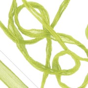 Ruban en soie Anis x1m