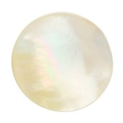 Cabochon rond plat 20 mm en Nacre x1