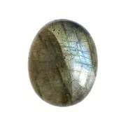 Cabochon ovale 10x8 mm - Labradorite x1