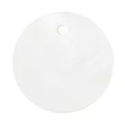 Sequins ronds 15 mm en nacre x10