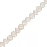 Perles d'eau douce olives irrégulières 6x5 mm - Crème nacré x34cm