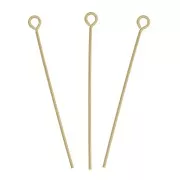 Clous tête ronde 28x0.55 mm - Gold filled (or laminé)  x10