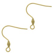 Crochets d'oreilles 21 mm avec anneau ouvert - Acier inoxydable 316L Doré x2|raw }}