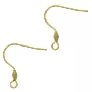 Crochets d'oreilles 21 mm avec anneau ouvert - Acier inoxydable 316L Doré x2