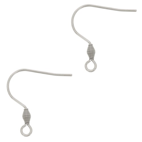 Crochets d'oreilles 21 mm avec anneau ouvert - Acier inoxydable 316L x2