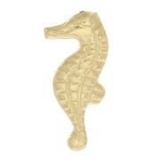 Élément hippocampe coté droit à coller 10.5x4.5 mm - Gold filled (or laminé)  x1|raw }}