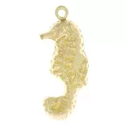 Pendentif hippocampe coté droit 18x8 mm - Gold filled (or laminé)  x1