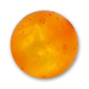 Perle ronde Polaris  polsweet 8 mm Topaz x1