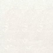 Poudre à embosser Transparent x 40 ml