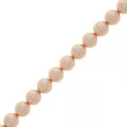 Perles rondes nacrées Preciosa - Round Pearl Maxima 8 mm - Peach x10