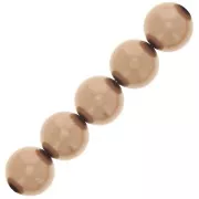 Perles rondes nacrées Preciosa - Round Pearl Maxima 12 mm - Bronze x6