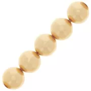 Perles rondes nacrées Preciosa - Round Pearl Maxima 10 mm - Gold x5