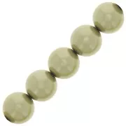 Perles rondes nacrées Preciosa - Round Pearl Maxima 10 mm - Light Green x5