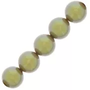 Perles rondes nacrées Preciosa - Round Pearl Maxima 10 mm - Pearlescent Khaki x5
