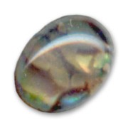 Cabochon Abalone  8x6 mm naturel x1