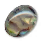 Cabochon Abalone  8x6 mm naturel x1