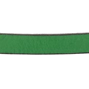 Lacet cuir 10 mm Vert sapin x30cm|raw }}