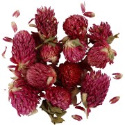 Assortiment de fleurs séchées - Trèfle rouge - Violet x15g