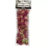 Assortiment de fleurs séchées - Trèfle rouge - Violet x15g