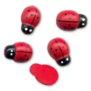 Coccinelles en bois à coller 13x9 mm Rouge x10