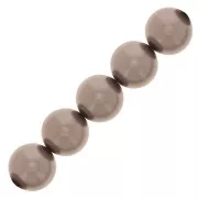 Perles rondes nacrées Preciosa - Round Pearl Maxima 10 mm - Dark Grey x5