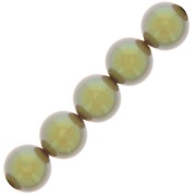 Perles rondes nacrées Preciosa - Round Pearl Maxima 6 mm - Pearlescent Khaki x20
