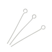 Clous tête ronde 30x0.7 mm - Acier inoxydable x10|raw }}
