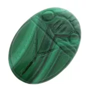 Cabochon ovale gravé scarabée 25x18 mm en pierre gemme - Malachite x1