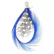 Plume 50 mm Dark Blue x1