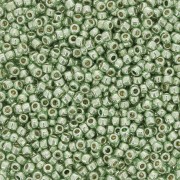 Rocaille Toho 15/0 TO15RPF570 - PF Galvanized Mint Green x8g