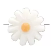 Perle fleur marguerite 10 mm en nacre - Blanc - Orange x1