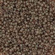 Rocaille Miyuki 15/0 2372 - Spice Luster x8g