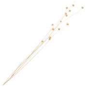 Lin séché naturel pour composition florale x1 tige