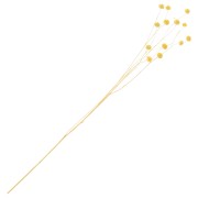 Lin séché jaune pour composition florale x1 tige|raw }}