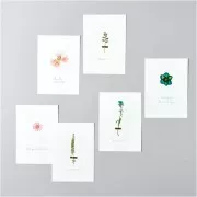 Assortiment fleurs séchées & pressées sur planche - Mix Orange - Turquoise