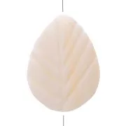 Perles en nacre - forme feuille 18x12 mm x10