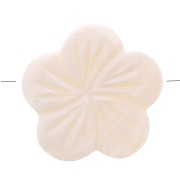 Perles en nacre - forme fleur 21 mm x5