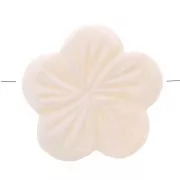 Perles en nacre - forme fleur 21 mm x5